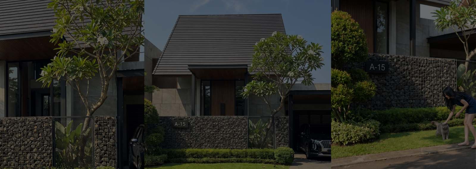 Modern House